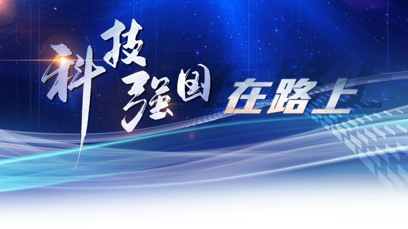 专业信息化建设：厂家定制服务的核心要素**