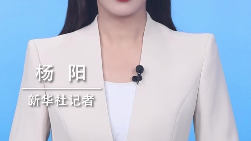 软件测试流程：揭秘高效测试的五大步骤